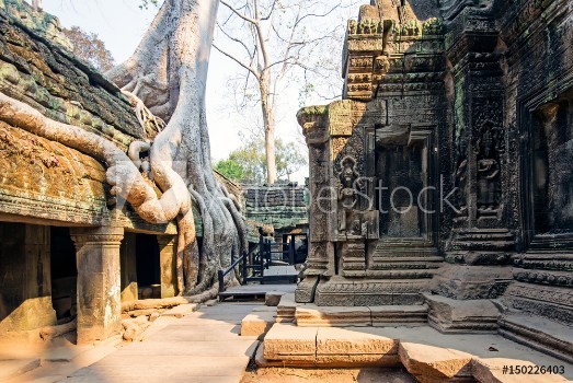 Bild på Ta Prohm Temple Siem Reap Cambodia